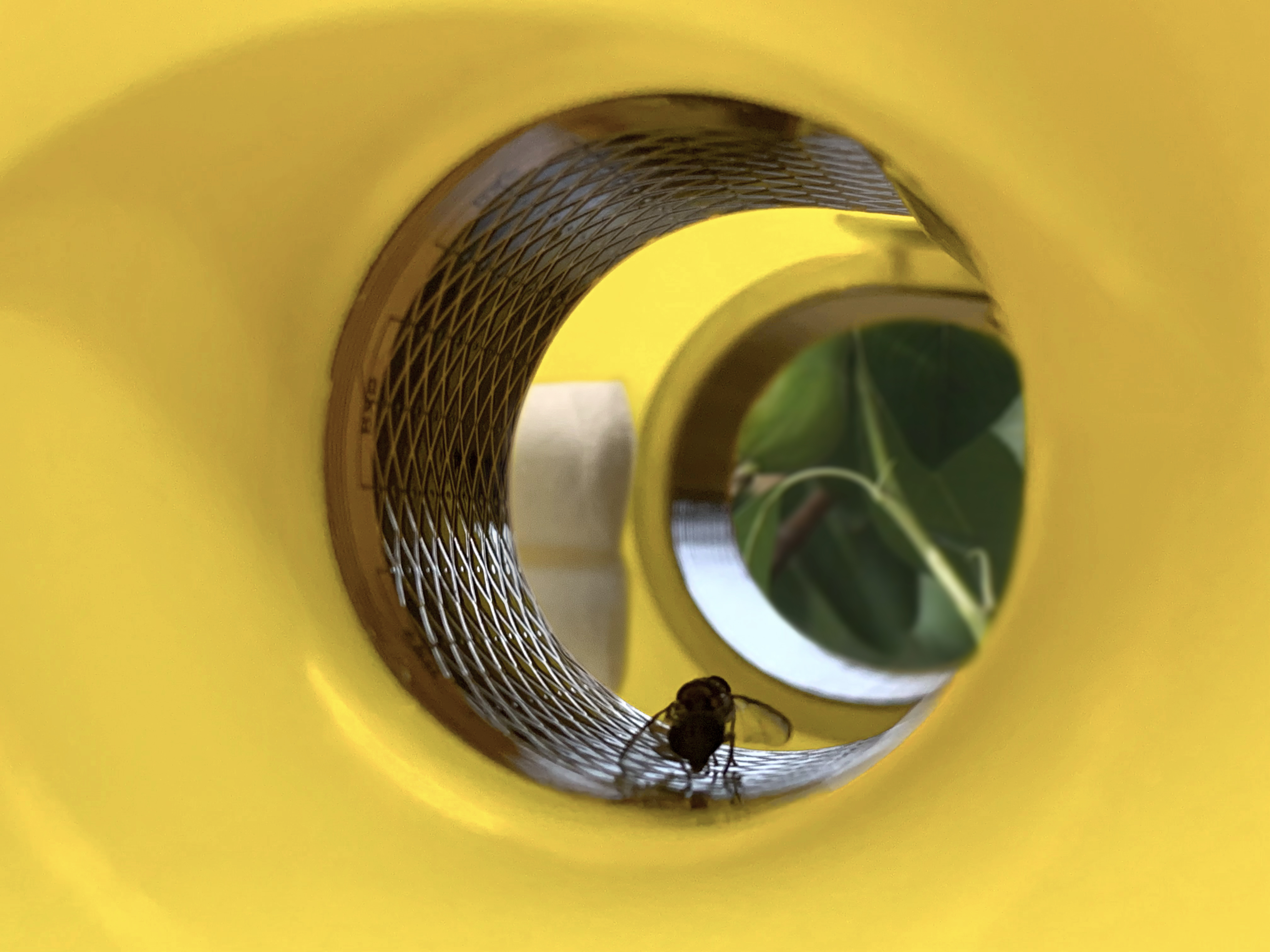 Rapidaim RapidAIM Smart Trap – Real-time Pest Detection for Better Biosecurity ...